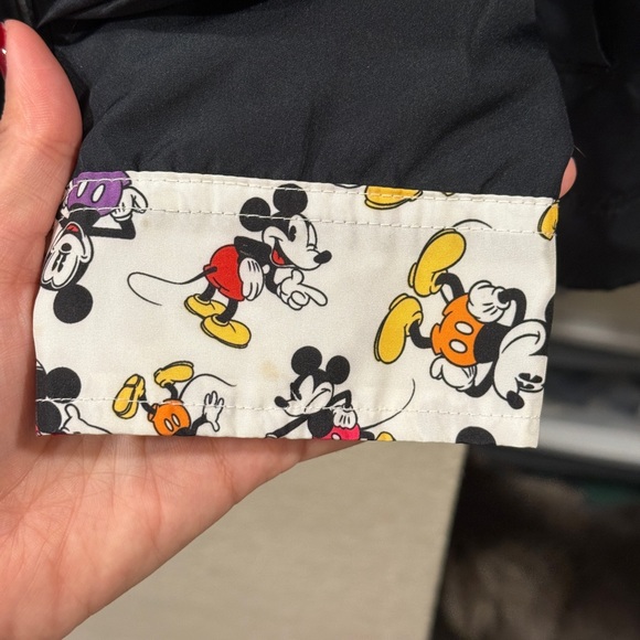 Disney Windbreaker - Picture 4 of 9